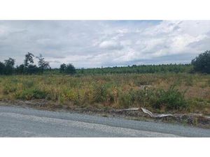 Terrain à bâtir à Mios (33380)