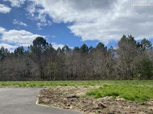 Terrain à bâtir à Saint-Selve (33650)