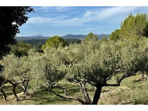 Annonce maison à vendre