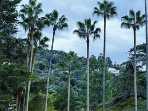 Appartement de luxe de 3 pièces en vente à Cannes  France