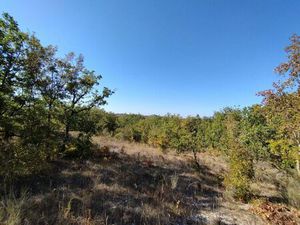 Annonce vente terrain 1 pièce de 1455m2 à Cezac (46170) - ParuVendu.fr ref 992783832393