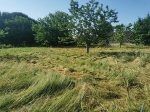 Vente terrain 600 m² Saint-Pardon-de-Conques (33210)