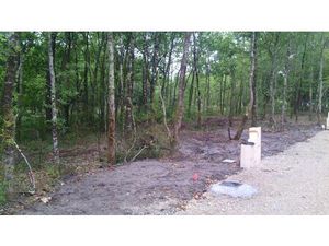 Vente terrain 500 m² Salles (33770)