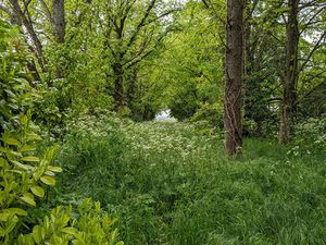 Terrain Migne Auxances 3108 m2