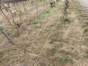 Vente Terrain à Caramany (66720) : à vendre / 65360m² Caramany