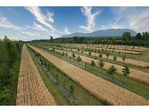 Terrain agricole à vendre de 105000 m² à Philippeville (VBD60235)