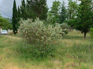 Vente terrain neuf 1000m2 Villecroze - 119000 € - Surface Privée