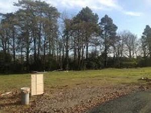 Vente terrain 555 m² Pissos (40410)