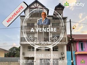 Vente bâtiment 18 pièces
