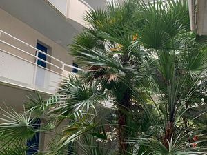 Appartement T2 35m2 Pentagone