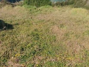 Location de terrain nu