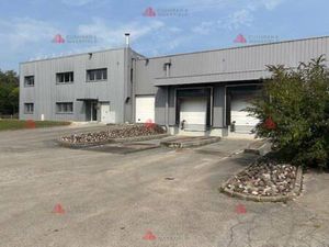 Local d'activités à louer