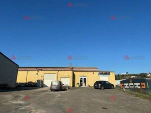 Local d'activités à vendre