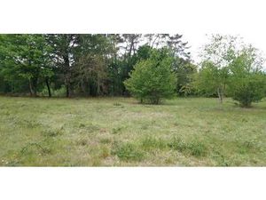 Terrain constructible viabilisé à vendre