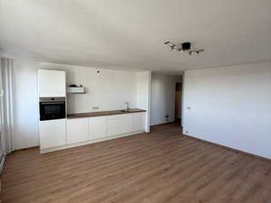 magnifique appartement au 19 ème  1 ch entièrement rénové