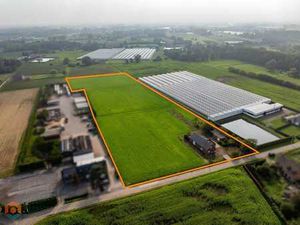 Landbouwwoning op een perceel van 27.685 m² te Koningshoo...