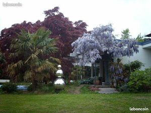 Maison d architecte MATTERN TOIT TERRASSE 1964 à renove