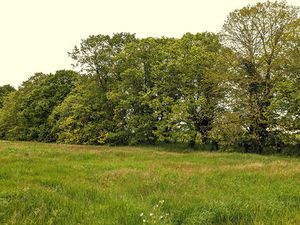 Vente terrain 5762 m² Avanton (86170)