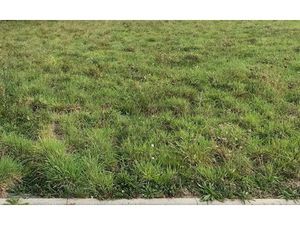 Vente terrain 700 m² à Juvigny-sous-Andaine (61140)  25 000 €