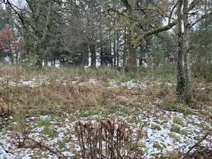 Vente terrain 1100 m² à Celles-sur-Durolle (63250)  21 000 €