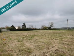 Vente terrain 1000 m² à Doussay (86140)  29 000 €