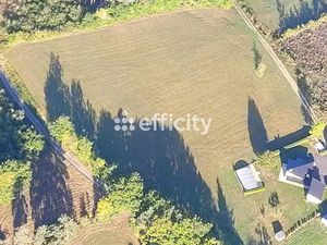 Vente terrain 10021 m² à Ruynes-en-Margeride (15320)  53 889 €