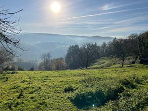 Vente terrain 20241 m² à Beynat (19190)  56 000 €