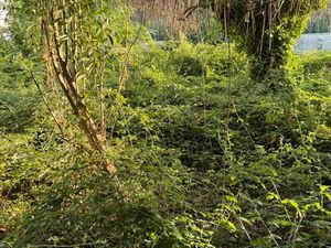 Maison et terrain constructible