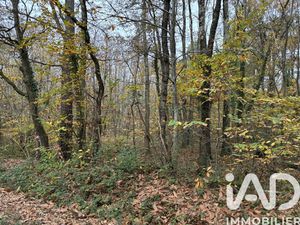 Vente Terrain 1 113 m²