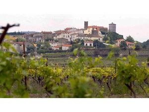 Vente terrain 477 m² à Montner (66720)  92 220 €