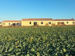 A LOUER maison neuve