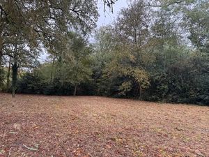 Vente terrain 1163 m² à Louchats (33125)  87 000 €