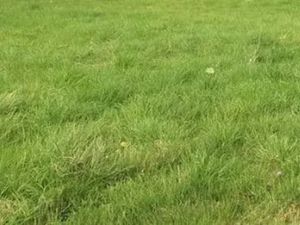 Vente terrain 1137 m² à Chaumes-en-Retz (44320)  120 950 €