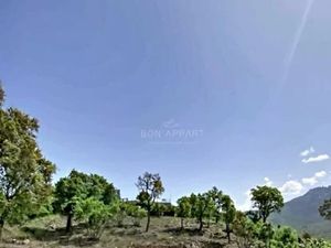 Vente terrain 1000 m² à Tavaco (20167)  157 000 €