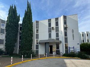 Vente locaux professionnels 4 pièces 52 m² à Avignon (84000)  69 000 €