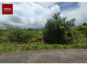 A vendre terrain agricole – 989 m² – Saint-Benoît (97470)