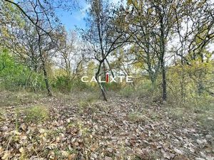 Saint-Paul-En-Foret Terrain Agricole