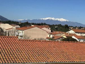 Vente locaux professionnels 145 m² à Argeles-sur-mer (66700)  545 000 €