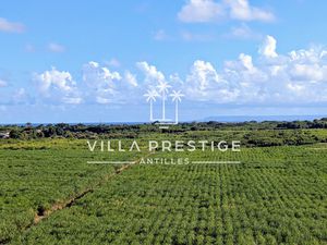 PROPRIÉTÉ D'EXCEPTION VILLA T6 ET 2 LOGEMENTS T2 - VUE DÉGAG