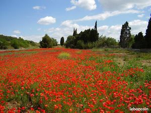 Recherche maison a louer