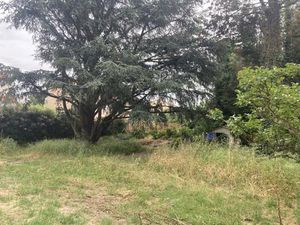 À vendre - Terrain arboré de 807 m² constructible à Perpig