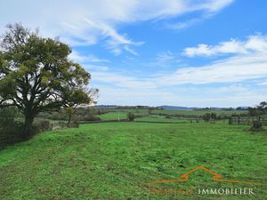 JAMBLES  terrain de 2424 m² en partie constructible