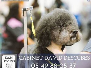 CABINET DAVID DESCUBES