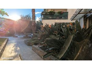 Appartement 3 pièces 71 m²