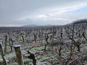 Recherche maison / appartement