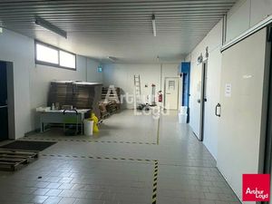 LOCAL D'ACTIVITE A LOUER