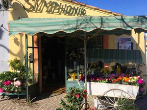 Achat Local commercial