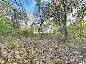 Achat Terrain 17 980m² ST PAUL EN FORET 83440