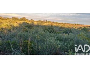 Vente terrain 3135 m² La Palme (11480)