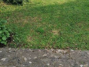 Terrain 406 m² Tremeven